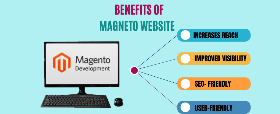 Magneto web Design services in Delhi